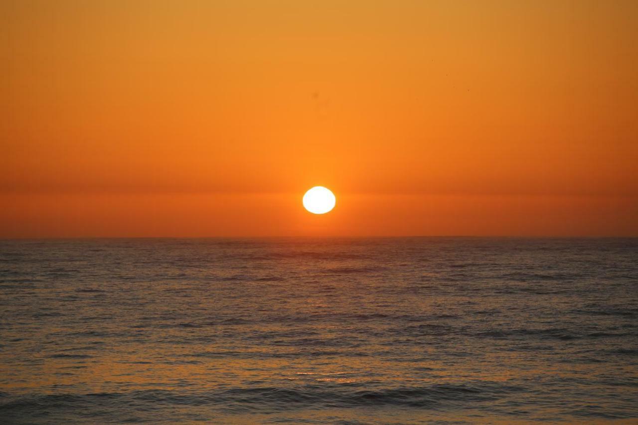 Pineapple Surf House Hostel อาโตเกีย ดา บาเลยา ภายนอก รูปภาพ